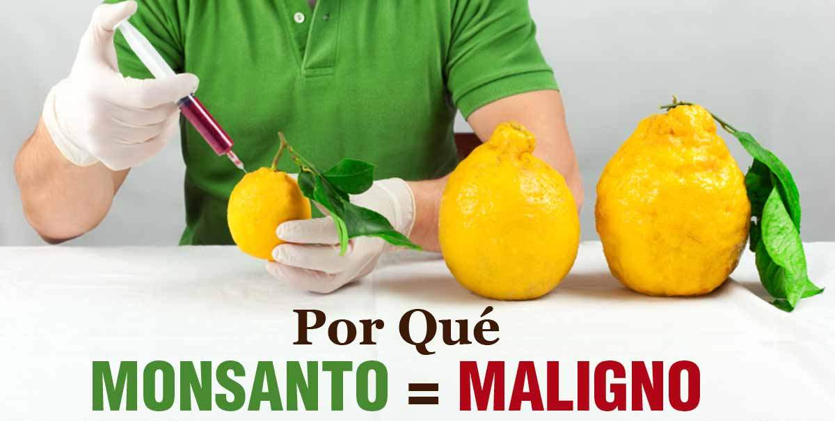 Monsanto Monsanto