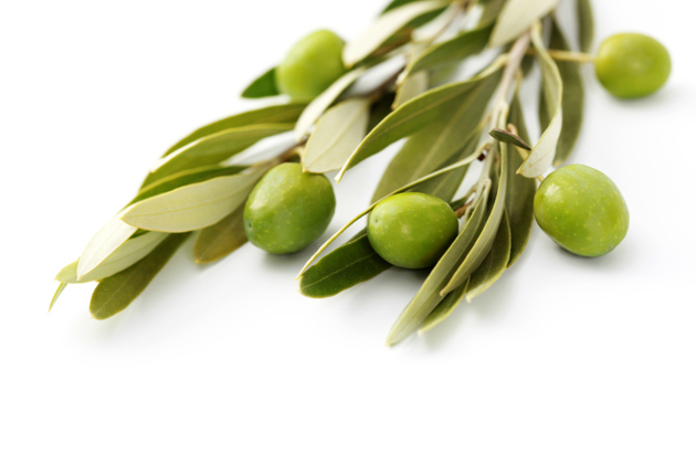 hierbas medicinales