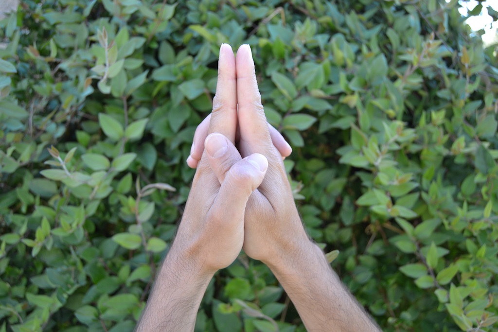  Mudras