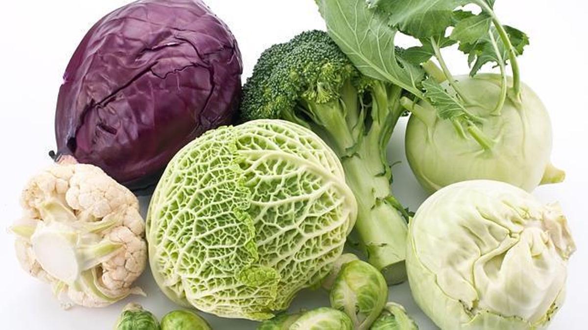 estrógenos naturales estrógenos naturales